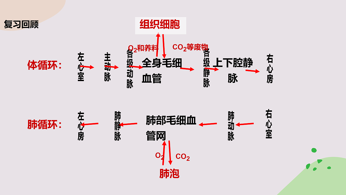 17966537第1页