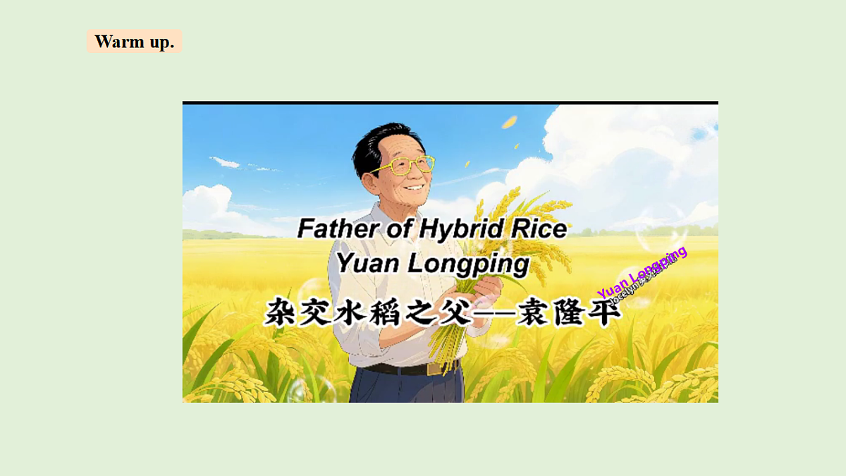 17966597第2页