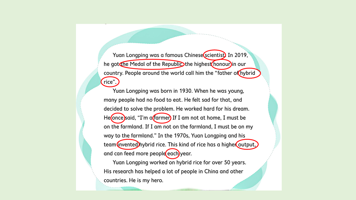 17966597第7页