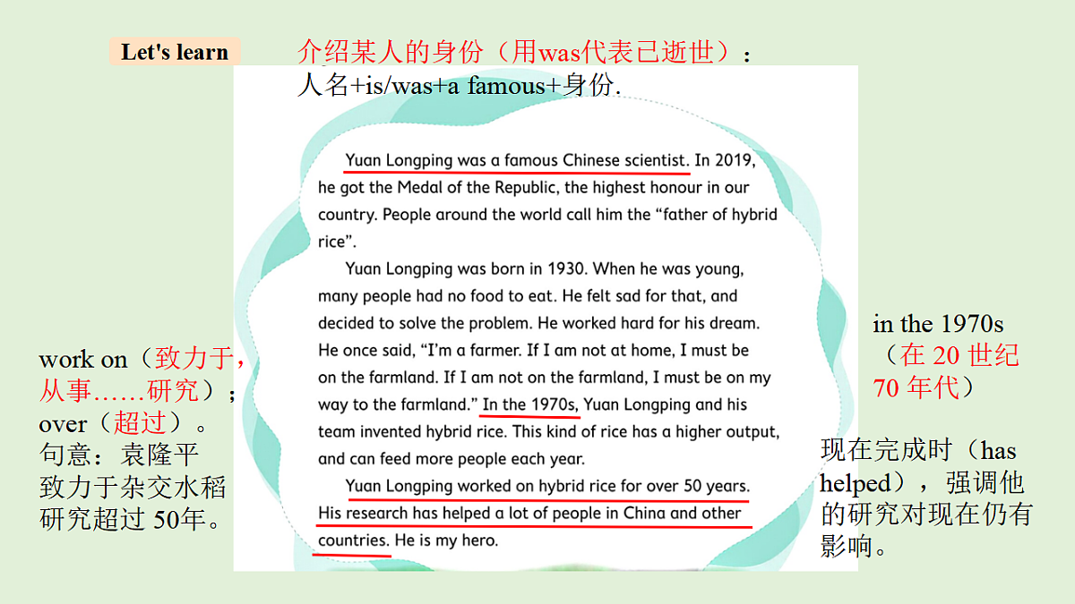 17966597第8页