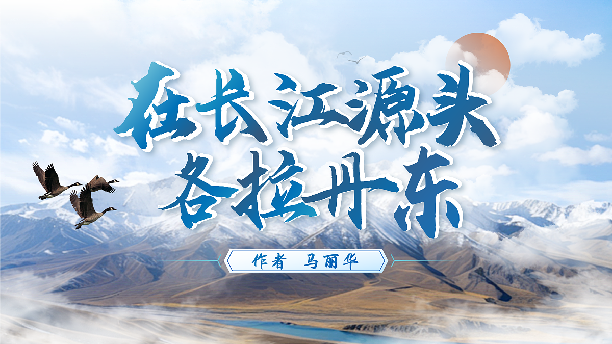 17966864第1页