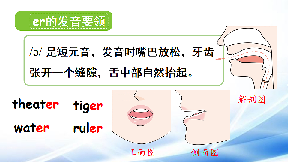 17967161第6页
