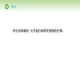 冀人版（2024）科学三年级下册 第二单元 第三节 周围的生物（课件）