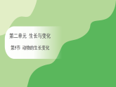 冀人版（2024）科学三年级下册 第二单元 第五节 动物的生长变化（课件）