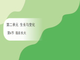 冀人版（2024）科学三年级下册 第二单元 第六节 我在长大（课件）