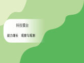 冀人版（2024）科学三年级下册 科技擂台 能力增长 观察与观测（课件）