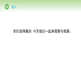 冀人版（2024）科学三年级下册 科技擂台 能力增长 观察与观测（课件）