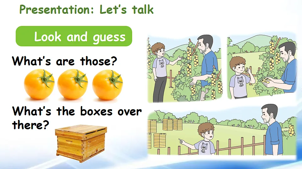 17967628第4页