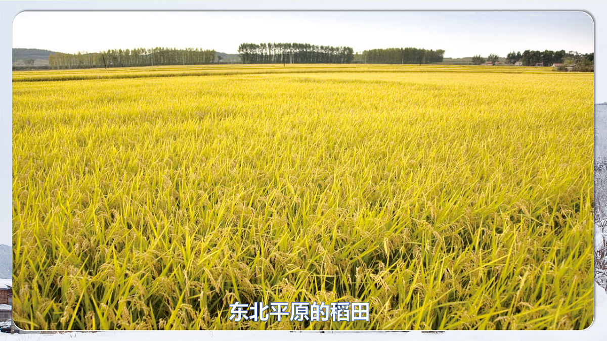 17967857第8页