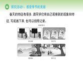 第二单元 第五节 冬去春来（课件）冀人版（2024）科学二年级下册