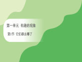 第一单元 第一节 它们都去哪了（课件）冀人版（2024）科学二年级下册