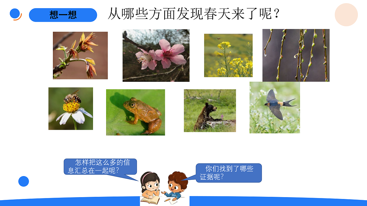 17969766第4页