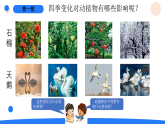 2026年湘科版二年级科学下册1.2四季变化的影响（课件）
