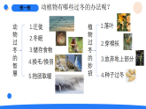 2026年湘科版二年级科学下册1.2四季变化的影响（课件）