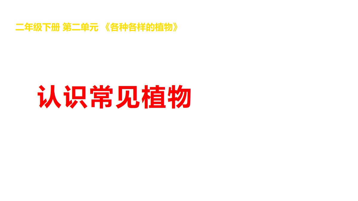 17969772第1页