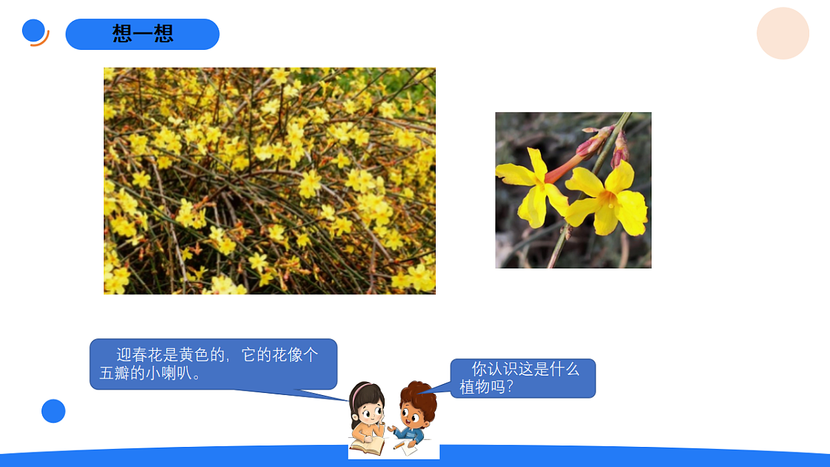 17969772第2页