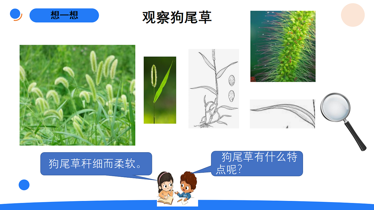 17969772第3页