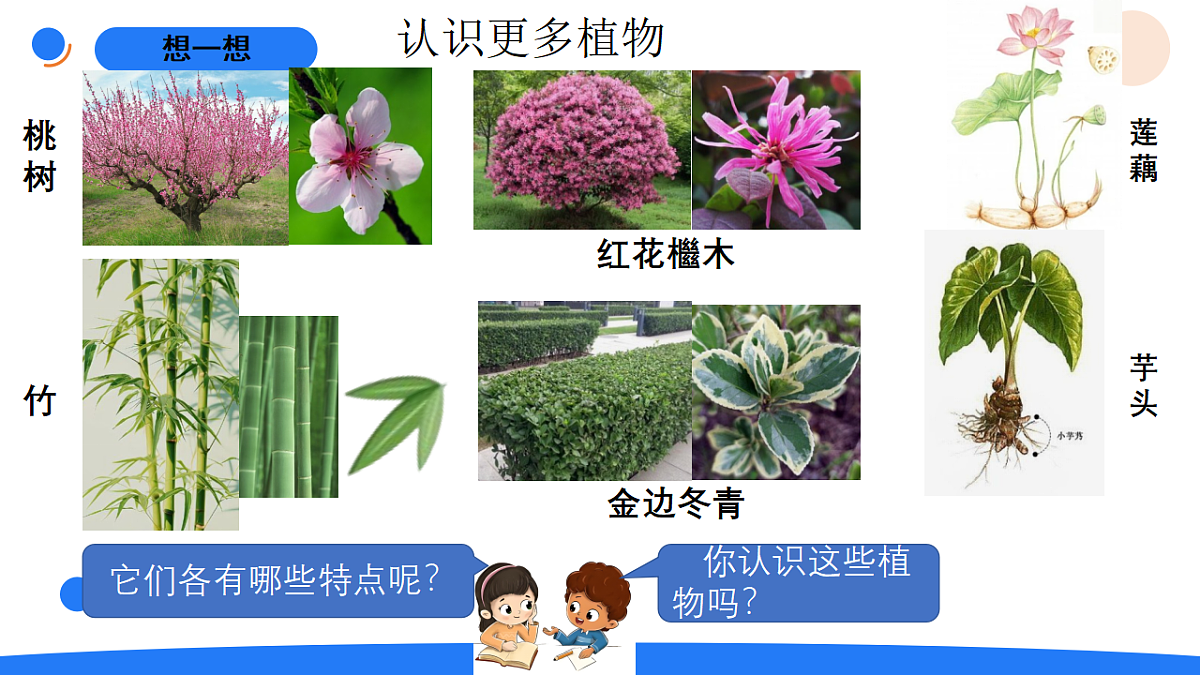 17969772第5页
