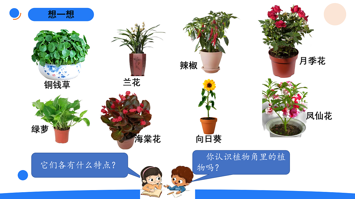 17969774第4页