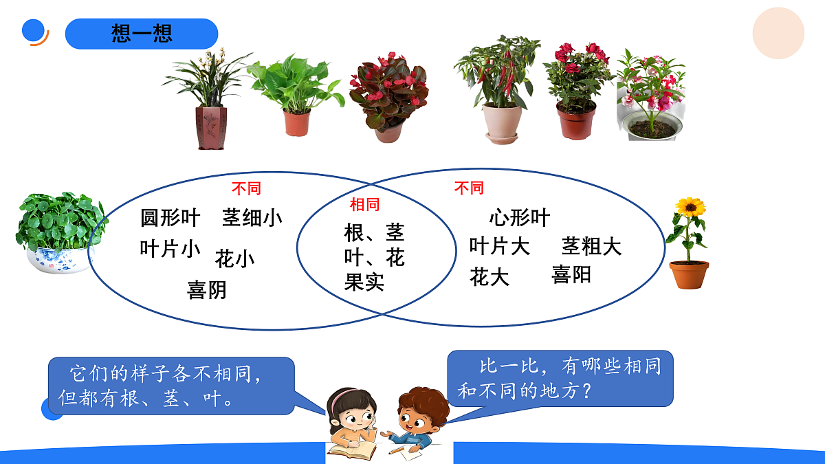 17969774第5页
