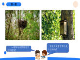2026年湘科版二年级科学下册4.11认识人造物（课件）