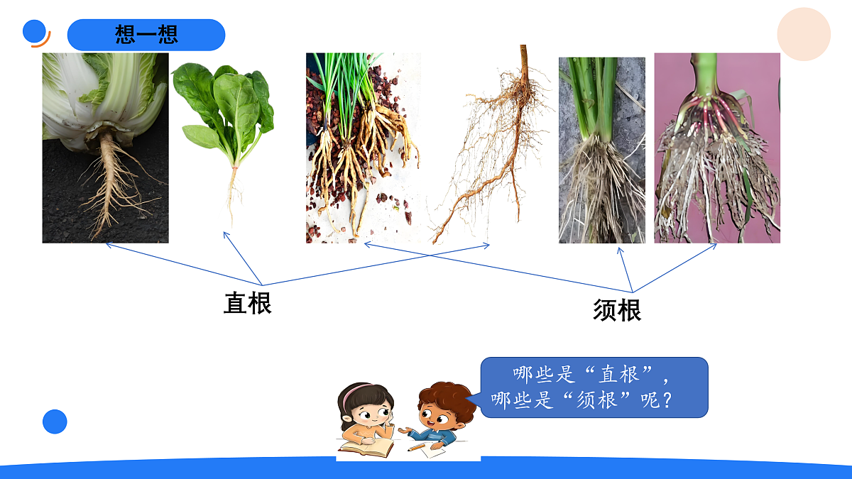 17969809第3页