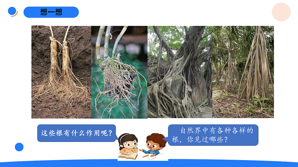 17969809第4页
