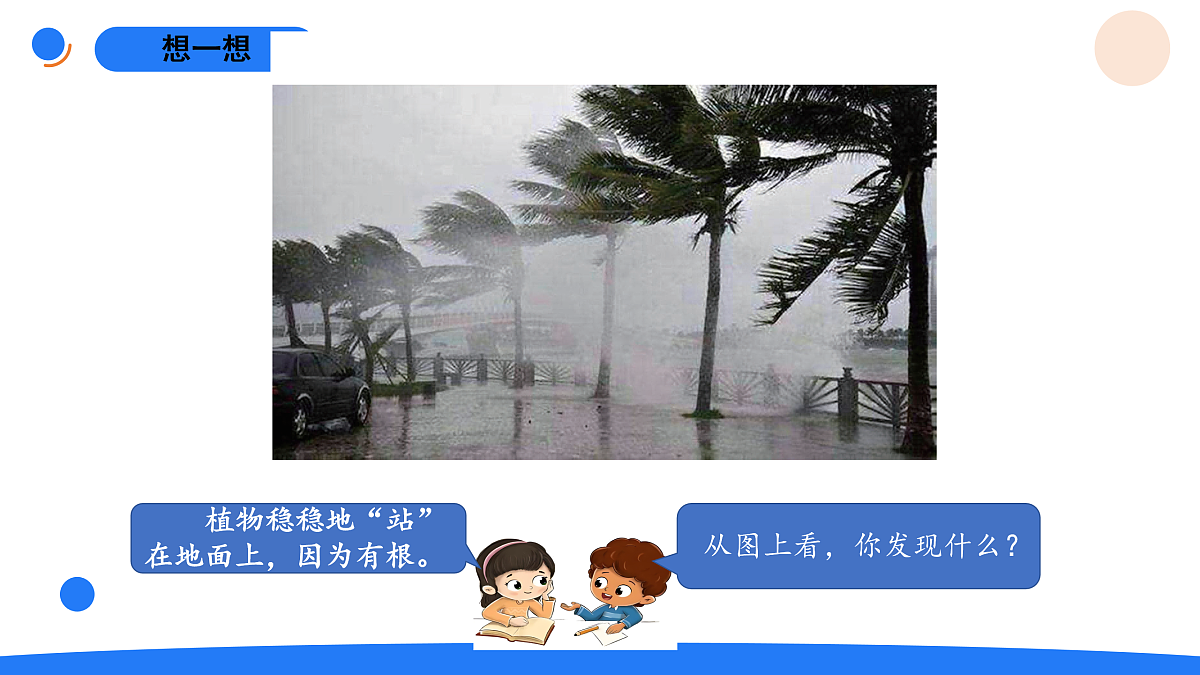 17969809第5页
