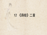 统编版八年级语文下册课件-12《诗经》二首