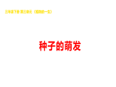 2026年湘科版三年级科学下册 3.11种子的萌发（课件）