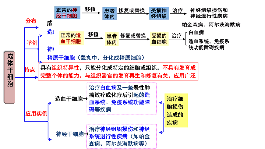 第2章第2节动物细胞工程----动物细胞培养（2）第7页