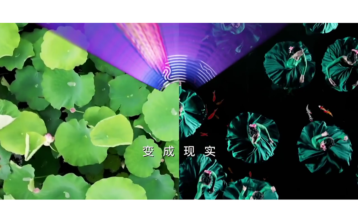 17971421第3页