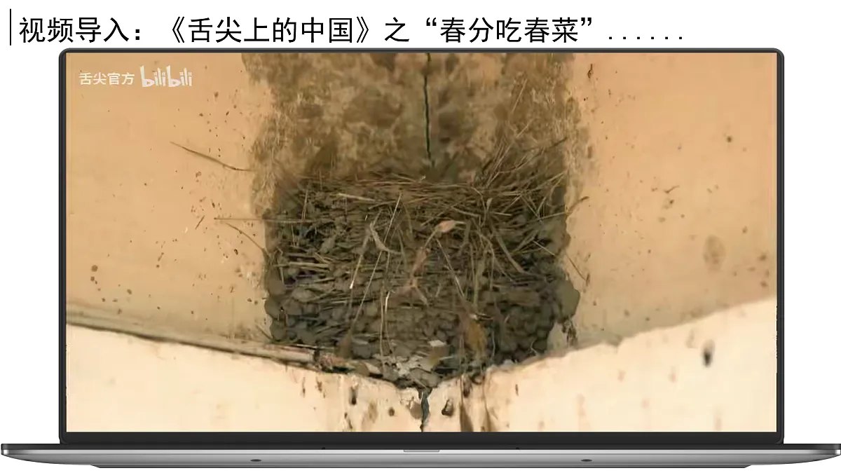 17972099第2页
