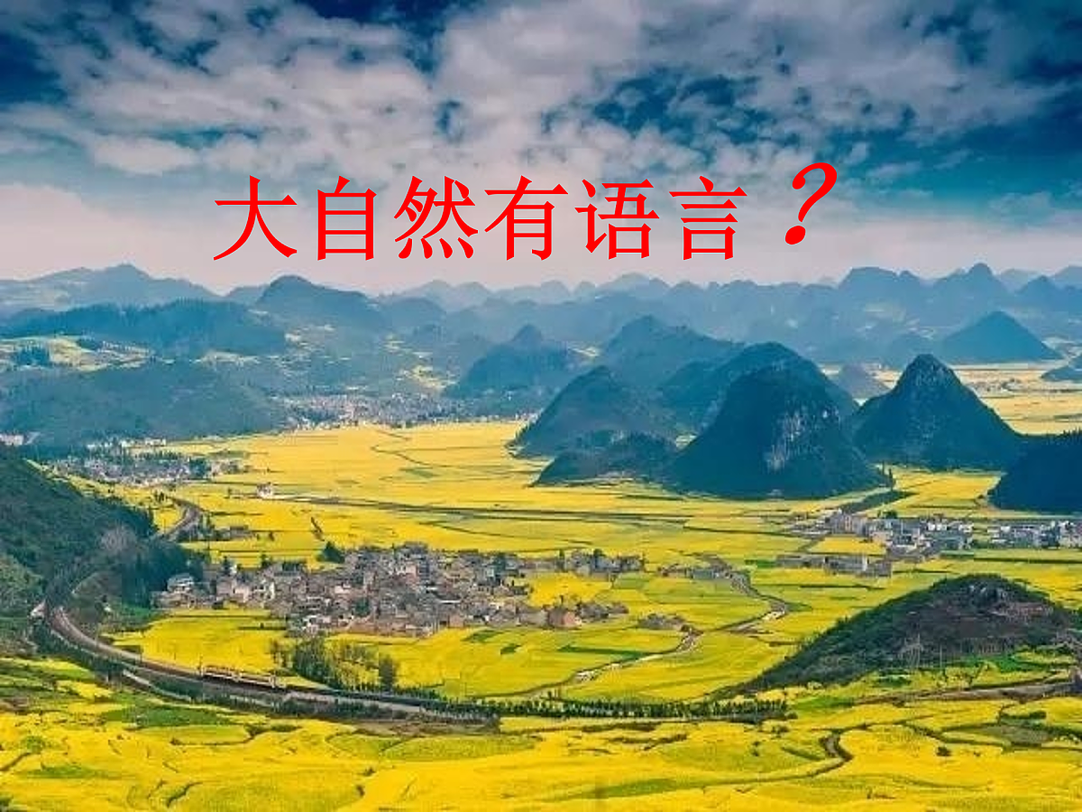 17972182第1页