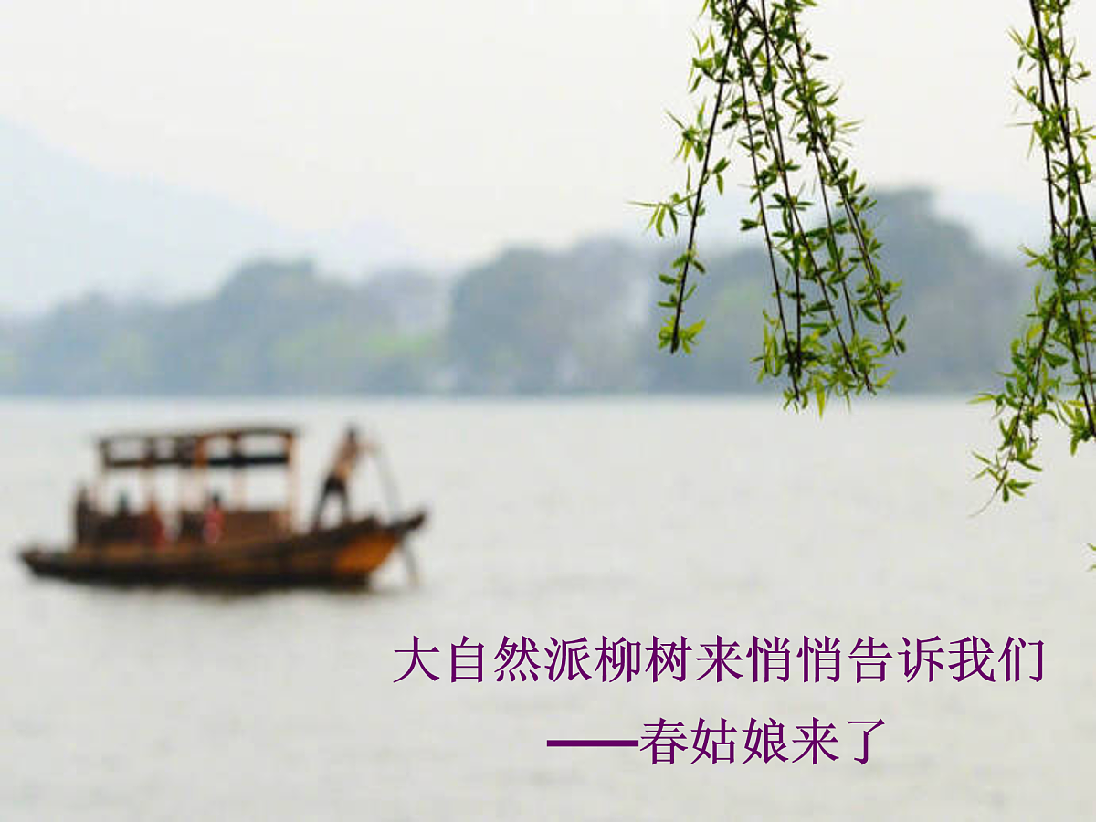 17972182第2页