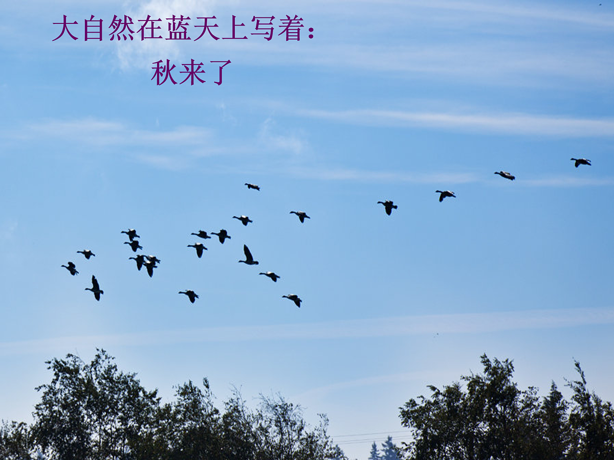 17972182第3页