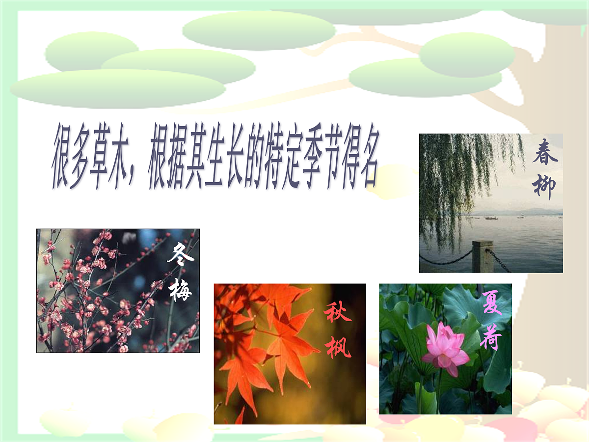 17972182第4页