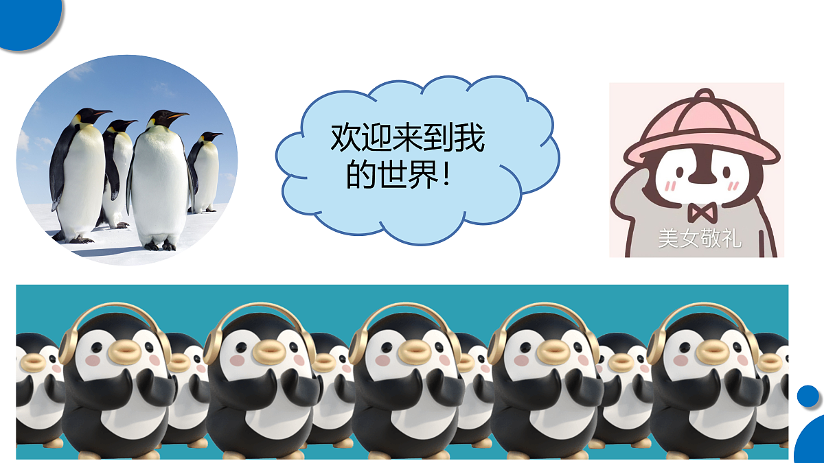 17972250第5页