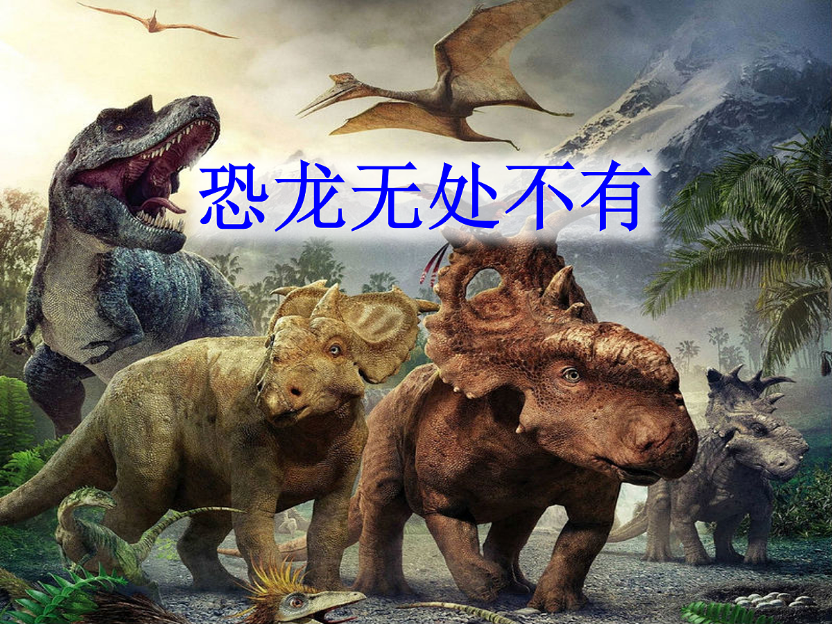 17972252第6页