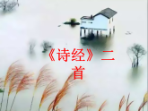 12  《诗经》二首（共54页）2025-2026学年统编语文八年级下册课文教学课件