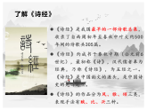 12  《诗经》二首（共54页）2025-2026学年统编语文八年级下册课文教学课件