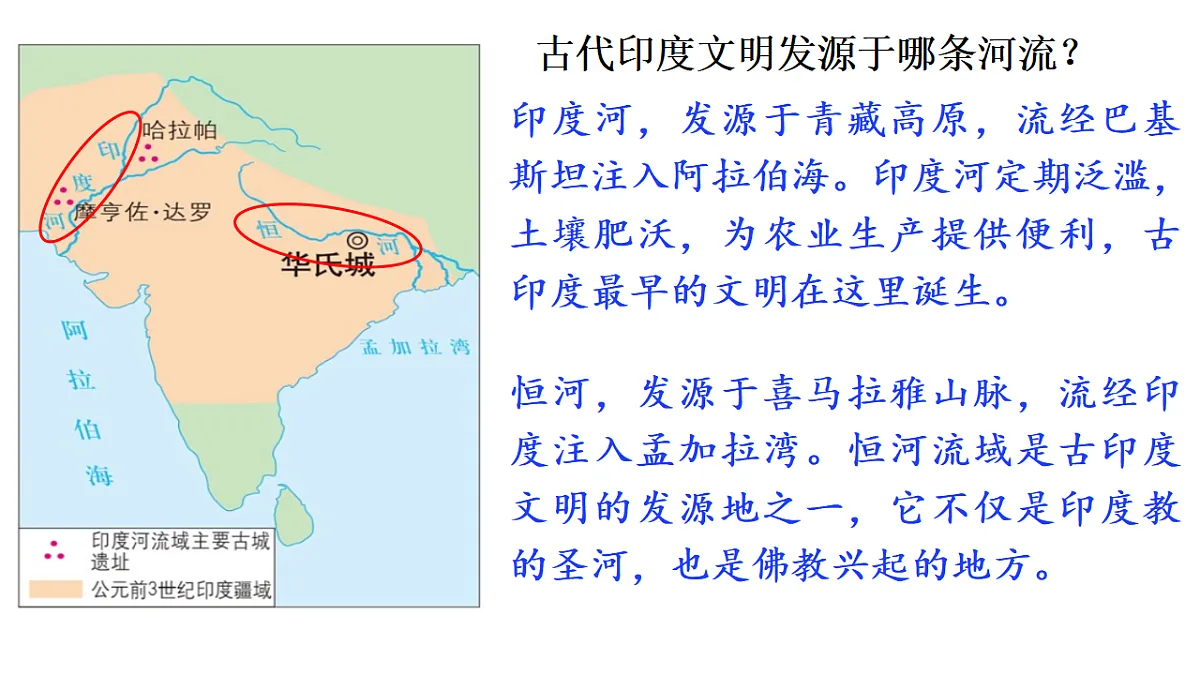 17972485第3页