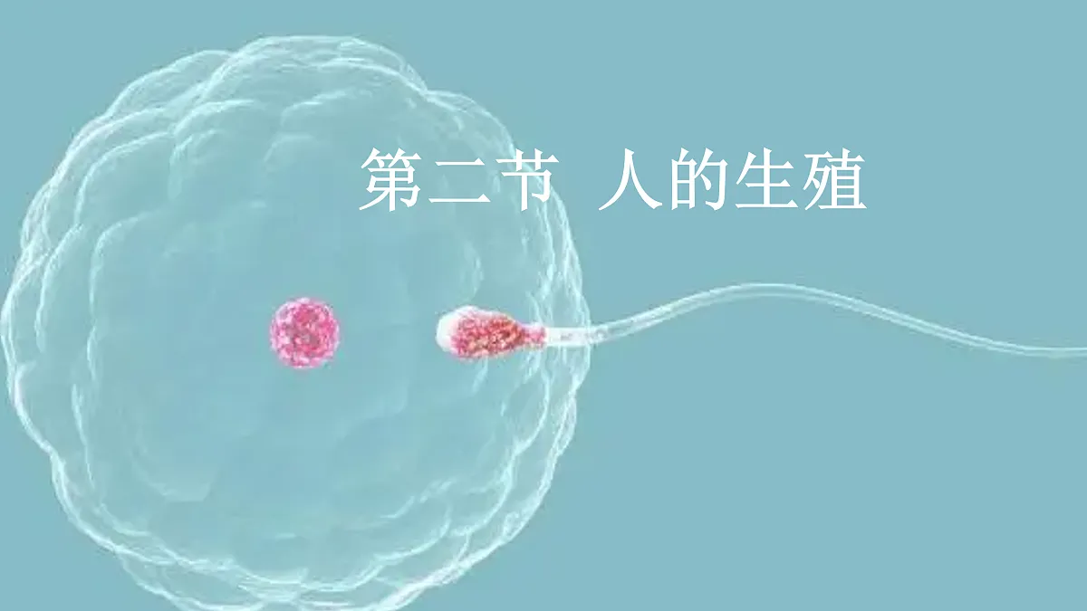 17972663第1页
