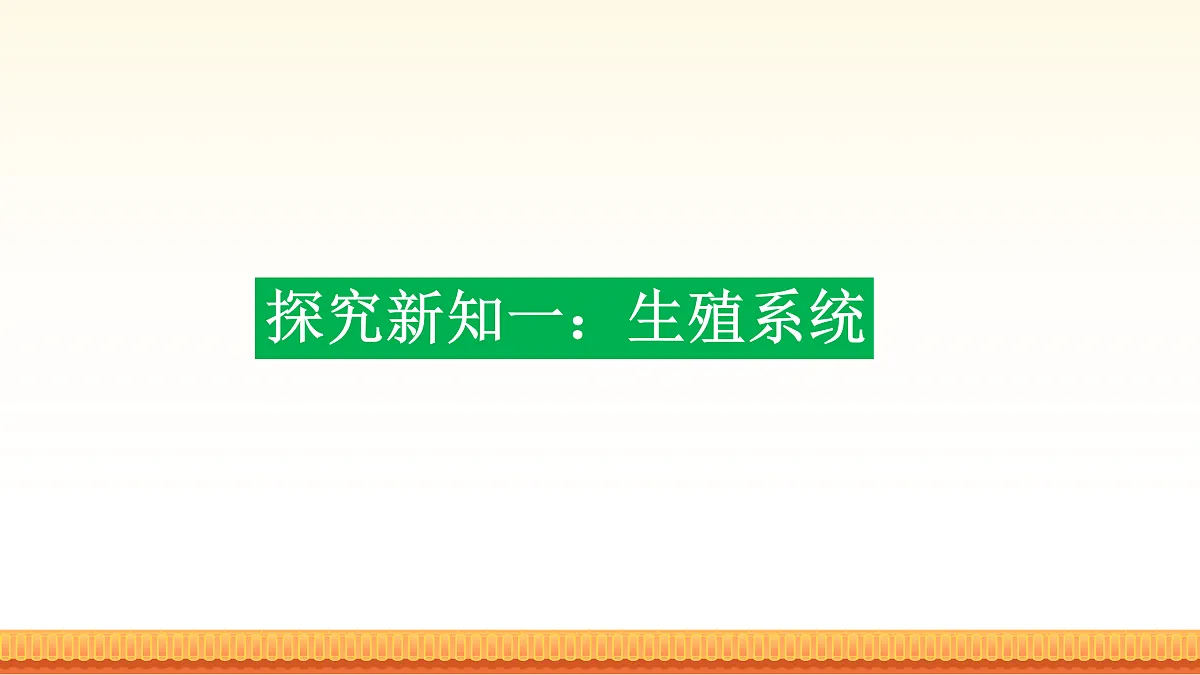 17972663第4页