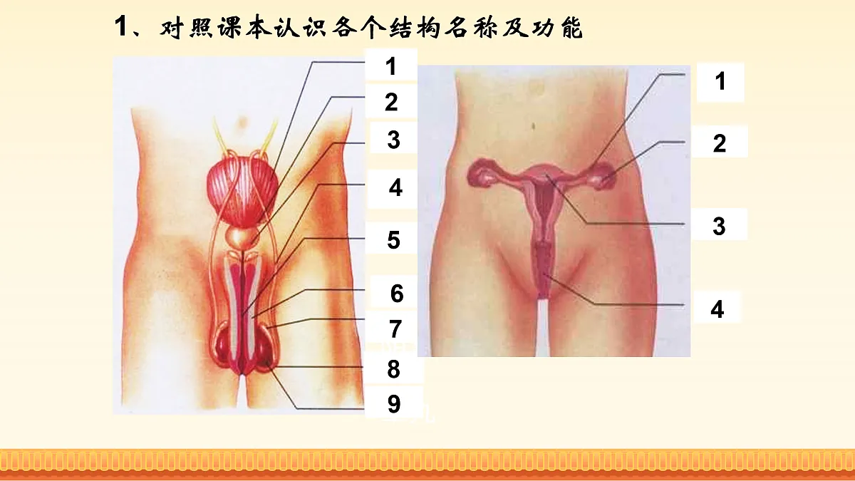 17972663第5页