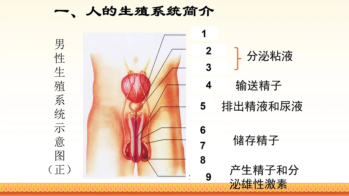 17972663第6页