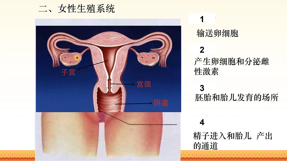 17972663第7页