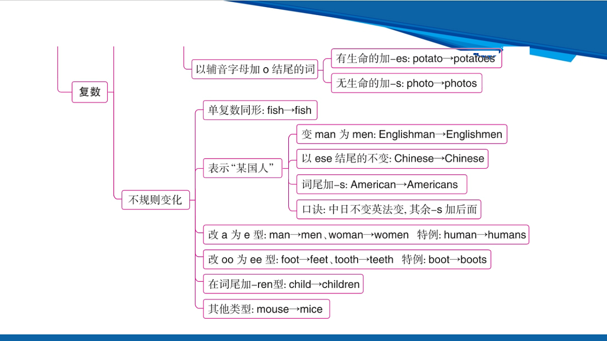 17972932第3页