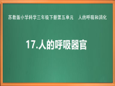 苏教版小学科学三下第五单元《17 人的呼吸器官》课件+教案+视频