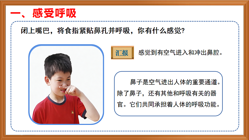 苏教版小学科学三年级下册第五单元《17 人的呼吸器官》课件+作业设计+视频第4页